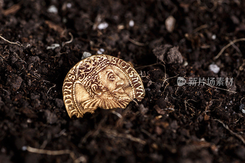 近距离观察中世纪欧洲的金银硬币。老波兰硬币。Waza Zygmunt三世。古代金银钱币。钱币学。泥土覆盖的银币。安提克瓦里特。